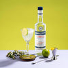 Ramazzotti Sambuca 38% Vol. 0,7l
