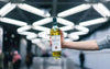 The Macallan LUMINA Highland Single Malt 41,3% Vol. 0,7l in Giftbox