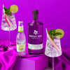 Whitley Neill RHUBARB & GINGER GIN 41.3% Vol. 0,7l