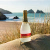 Tarquin's PINK GRAPEFRUIT & ELDERFLOWER GIN 42% Vol. 0,7l