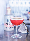 In Flames IKON No. 13 Distilled Gin 43% Vol. 0,5l