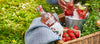 Absolut Juice STRAWBERRY 35% Vol. 0,5l