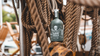 Sea Shepherd Rum 40% Vol. 0,7l