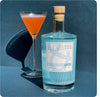 Dick & Stein European Dry Gin 45,7% Vol. 0,5l