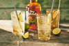 RedLeg Pineapple Spiced Rum 37,5% Vol. 0,7l