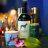 Windspiel Premium Dry Gin 47% Vol. 0,5l