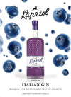 Kapriol BLUEBERRIES Gin Limited Edition 40,7% Vol. 0,7l
