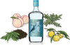 Tenjaku Craft Gin 37,5% Vol. 0,7l