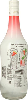 Malibu WATERMELON 21% Vol. 0,7l