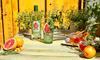 Havana Club VERDE Rum 35% Vol. 0,7l