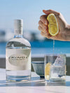 Skinos Mastiha Spirit 30% Vol. 0,7l