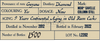 Bellamy's 2012 Guyana Reserve Rum 50% Vol. 0,7l