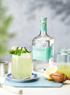 Hayman’s London OLD TOM GIN 41,4% Vol. 0,7l