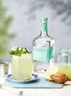 Hayman’s London OLD TOM GIN 41,4% Vol. 0,05l (Mini)