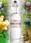 Poli Marconi 46 Gin 46% Vol. 0,7l