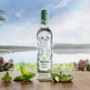 Finlandia Botanical Cucumber & Mint 30% Vol. 0,7l