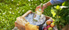 Absolut Juice APPLE 35% Vol. 0,5l