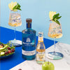 Whitley Neill BLACKBERRY GIN 43% Vol. 0,7l
