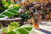 Ron Izalco 15 Años Rum CASK STRENGTH 55,3% Vol. 0,7l