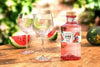 G'Vine JUNE by G'Vine Gin Watermelon 37,5% Vol. 0,7l