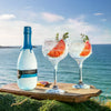Tarquin's HANDCRAFTED CORNISH DRY GIN 42% Vol. 0,7l