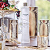 Roberto Cavalli Classic Vodka 40% Vol. 3l