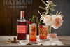 Hayman’s London Hayman's London SLOE GIN 26% Vol. 0,7l