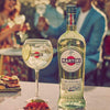 Martini BIANCO 15% Vol. 1l